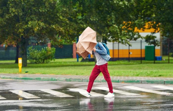 Wetter in Senna Marittima: Gelbe Warnung für starken Wind und heftige Böen am Wochenende