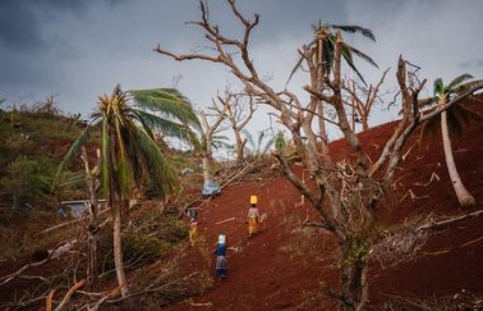 IN BILDERN. Putzen, Suche nach Trinkwasser und Nahrung… Nach dem Durchzug des Zyklons Chido versuchen die Einwohner von Mayotte zu überleben