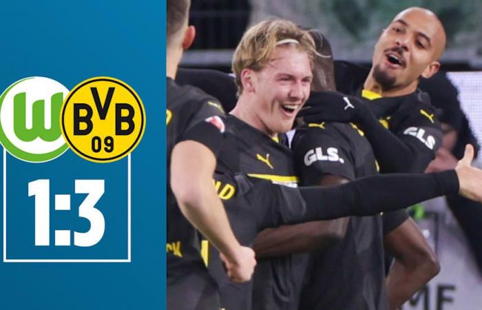 BVB: Dortmund ist Meister der Schwarm-Inkonstanz! | Sport