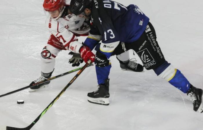 Eishockey – Magnus League. Grenoble gewinnt vor den Augen von Olivier Giroud, das Derby für Gap… alle Ergebnisse des 29. Tages