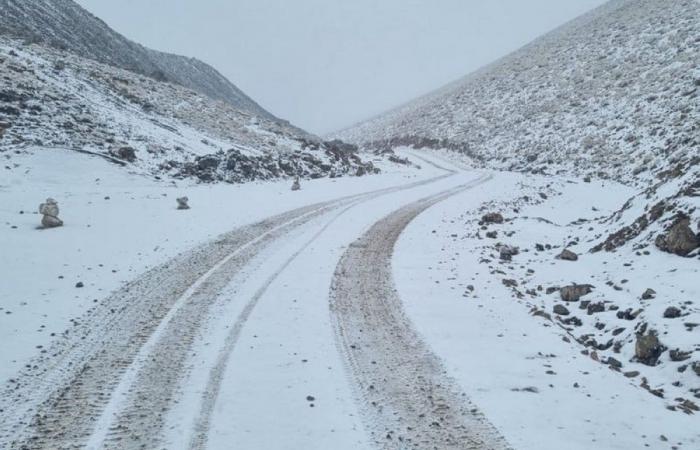 Im Schnee gestrandete Autofahrer zwischen Zagora und Tinghir gerettet