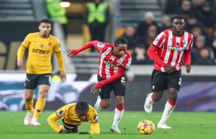 Southampton gegen Fulham Die Vorschau – Southampton News