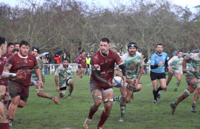 Amateur-Rugby – Federal 1: Die 4 Cantons-BHAP gewinnen von Anfang bis Ende zu Hause vor Peyrehorade und kommen wieder auf die Strecke