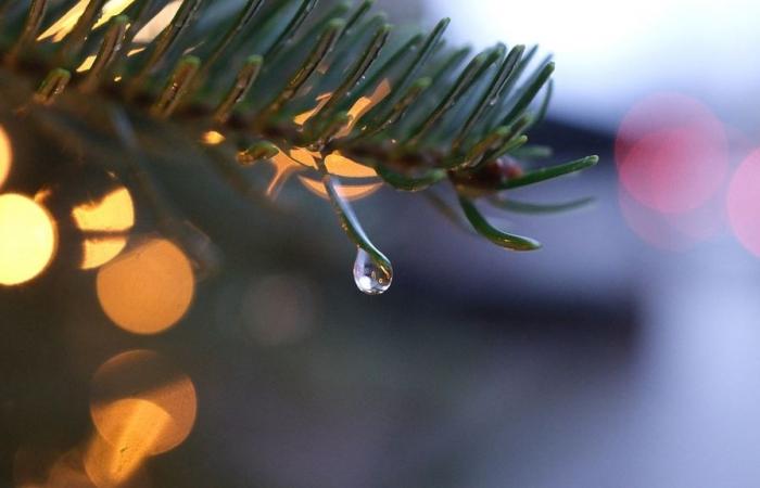 RTL Today – Wettervorhersage: Zu Weihnachten wird ein kalter und grauer Himmel erwartet