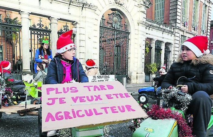 Eine gutmütige „Minifestation“ vor dem Hintergrund der Agrarkrise in Montauban