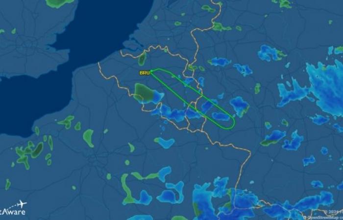 „Das Flugzeug wurde vom Blitz getroffen“: Ein Flug aus Brüssel musste umkehren