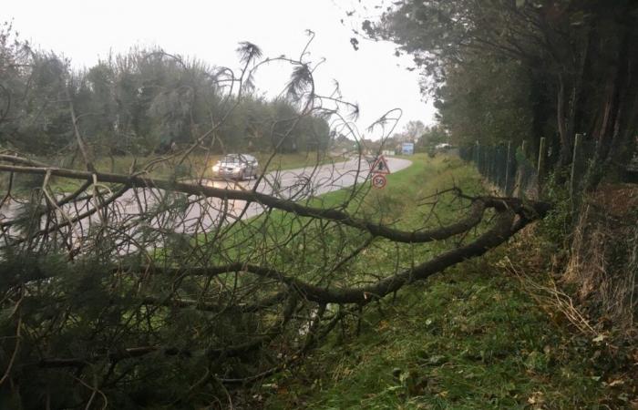 Gewitter und Böen mit 120 km/h an diesem Sonntag, gelbe Wachsamkeit aktiviert