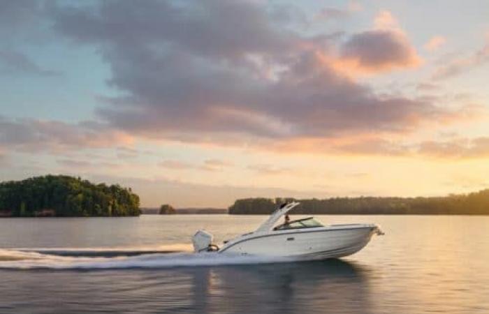 Sea Ray, drei neue SDX-Außenbordmotoren