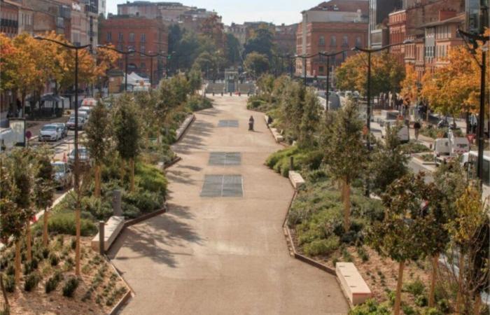 wie sich die Jean-Jaurès-Alleen von Toulouse in 200 Jahren verändert haben