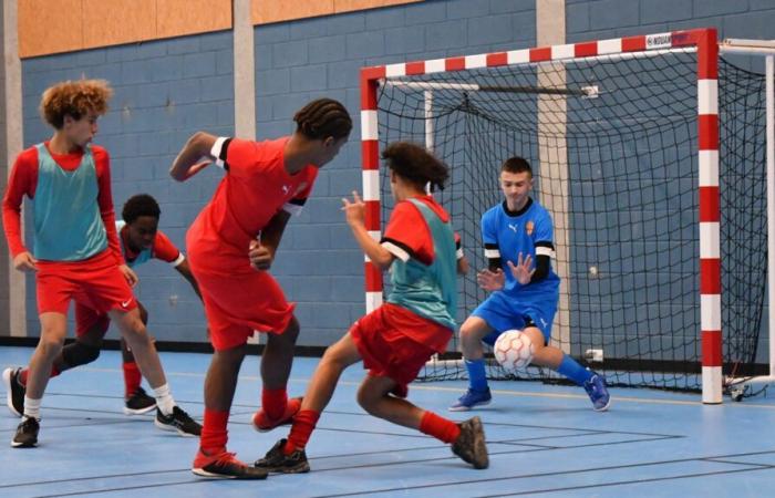 Blois Pro Futsal zwischen Geselligkeit und Wettbewerb