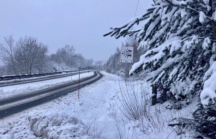 Gelbe Warnung vor Wind, Schnee und Eis: Seien Sie vorsichtig auf den Straßen in der Lozère