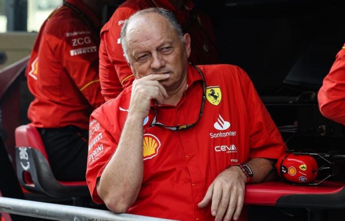 F1 – Vasseur übernimmt die mit Ferrari 2025 eingegangenen Risiken