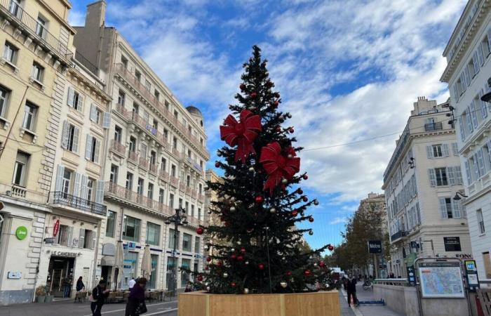 Wie wird das Wetter zu Weihnachten sein? Die Vorhersagen eines Experten