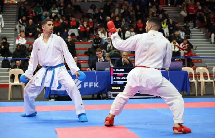 Karate Coupe de France in Lille