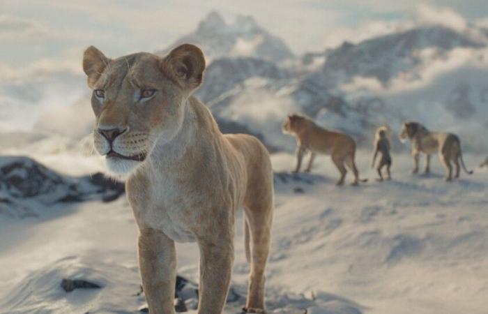 „Mufasa“ enttäuscht an den Kinokassen. Disneys König der Löwen sollte dieses Weihnachten fegen, stößt aber mit Segas Igel zusammen