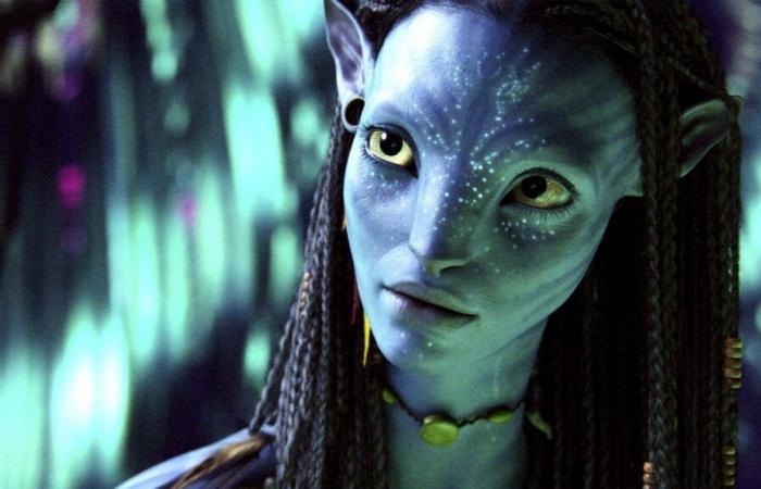 Avatar 2 (TF1) – Zoe Saldana, in Panik während der Dreharbeiten: „Ich habe mich in der Toilette versteckt, um zu weinen und James Cameron zu verfluchen“