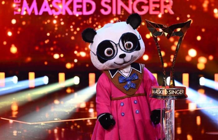 Dieser Star gewinnt diesjährige “The Masked Singer”-Staffel