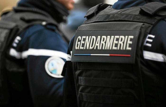 Mann in der Nähe von Rennes von einem Auto tödlich angefahren: Aufruf der Gendarmerie zur Zeugenaussage