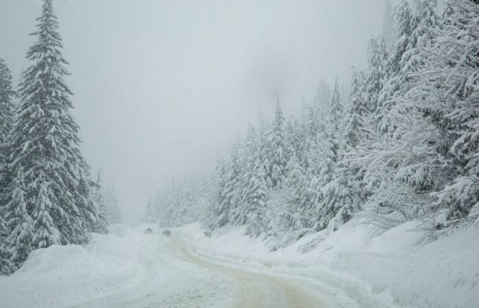 ???? Weihnachten früh, starker Schneefall in den Bergen ☃️