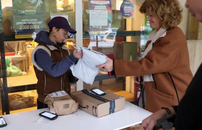 ein mittlerweile unverzichtbares Glied in der Paketzustellung