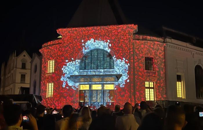 Vevey: Ausschreibung für Bewerbungen für die Feierlichkeiten zum 1. August