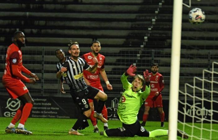 Drei weitere Punkte unter dem Baum für Stade Poitevin