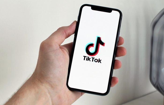 „TikTok ist ein Schläger, der Dreck und Schlamm verbreitet“… Die chinesische App wurde ein Jahr nach dem Tod eines 14-jährigen Teenagers in Albanien verboten