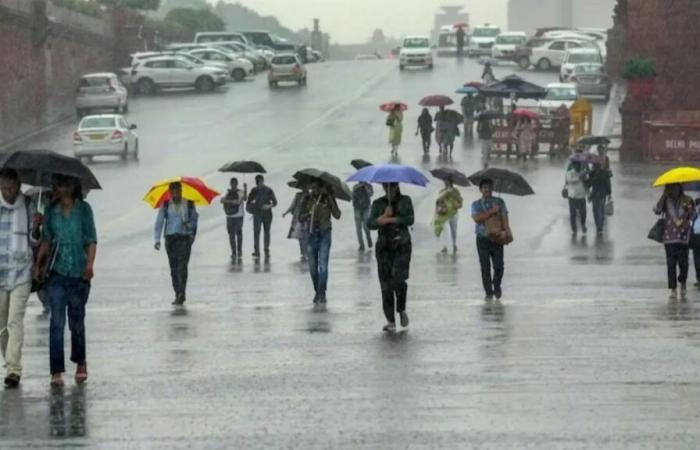 Regen überschwemmt Delhi, UP und andere Bundesstaaten inmitten zitternder Kälte – India TV