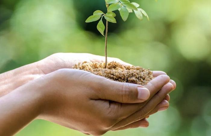 Marokkos Teilnahme an einer internationalen Konferenz zum Umweltschutz