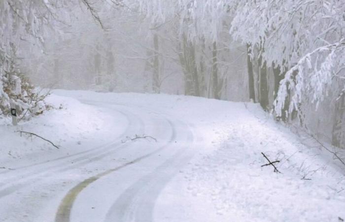 Wetter: Vier Abteilungen wurden am Montag wegen Schnee und Eis in Alarmbereitschaft versetzt: Nachrichten