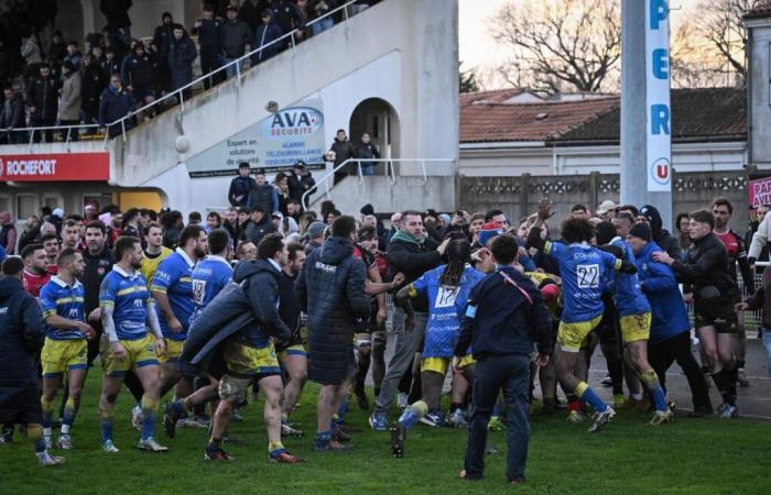 Rugby (Federal 2): ​​Allgemeine Schlägerei zwischen Spielern, Mitarbeitern und Zuschauern in Rochefort