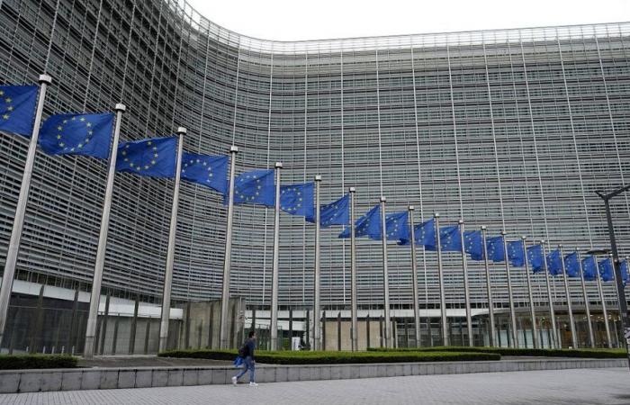 Island: Neue Regierung plant Referendum über EU-Mitgliedschaft bis 2027