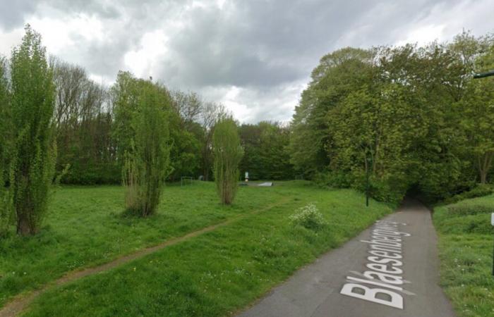 „Angegriffen“ und dann in einem Park „ausgesetzt“: Ein schwer verletzter 18-Jähriger aus Nivellois wurde in Vilvoorde gefunden