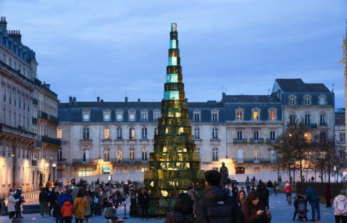 Rathäuser wissen nicht mehr, an welchen Baum sie sich wenden sollen