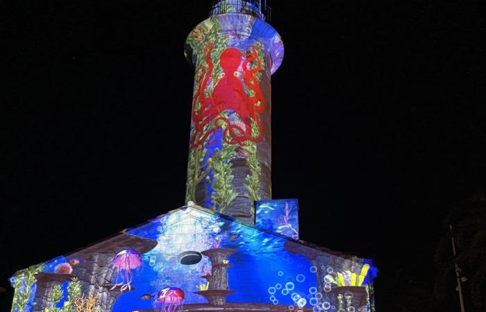 FAKT DES TAGES Ein Rückblick in Bildern auf die großartige Ton- und Lichtshow in Grau-du-Roi