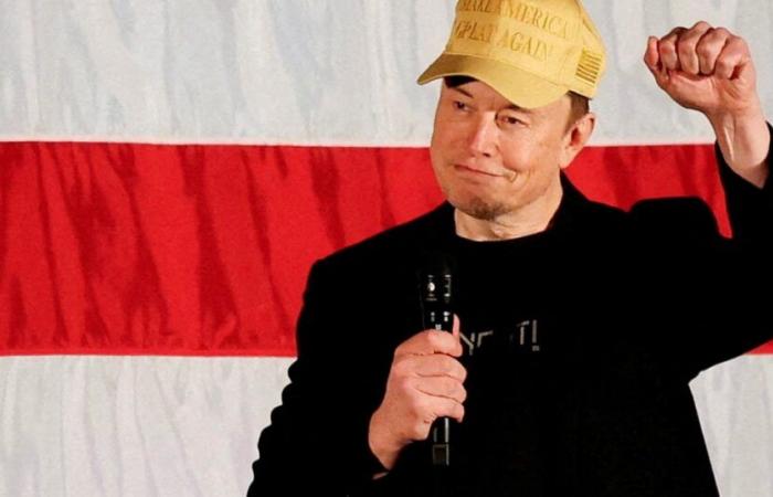 New York Times: Musk kündigt seine Unterstützung für die rechtsextreme Partei in Deutschland an | Politik