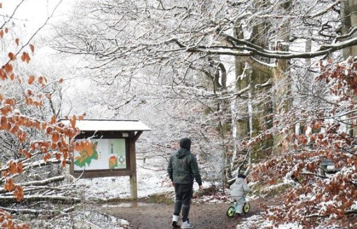 Winterschauer verursachen Schneeschichten, in den Hohen Ardennen sind bis zu 10 Zentimeter Schnee möglich