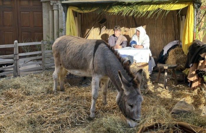 Die lebende Kinderkrippe von Salon-de-Provence kehrt in die Innenstadt zurück