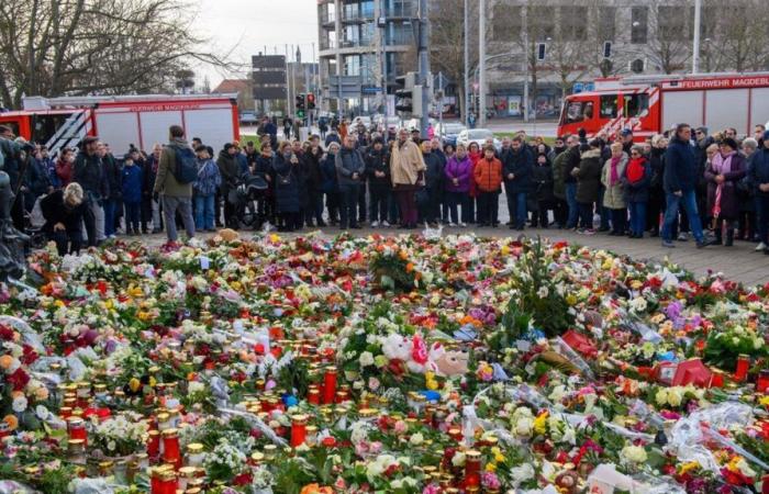 kritisiert, verspricht die Bundesregierung Aufklärung über die Tragödie