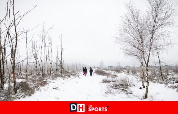 Werden wir dieses Jahr weiße Weihnachten haben? Hier finden Sie die Wettervorhersage für die Winterferien