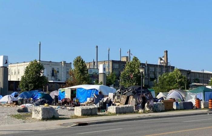 Die Einkommens- und Vermögensungleichheit erreicht in Kanada Rekordwerte