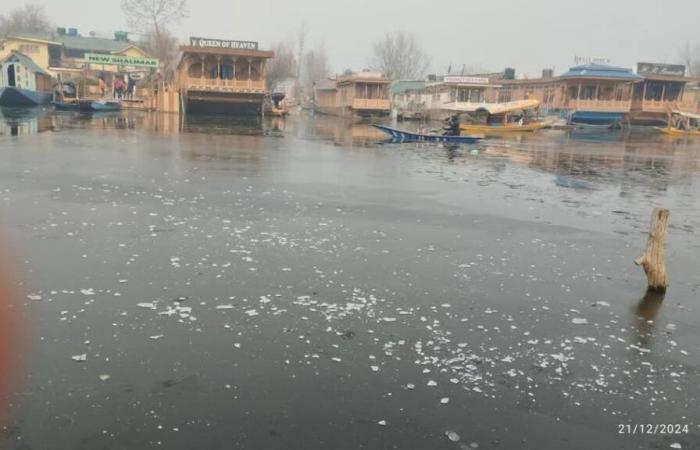 Keine Pause von der Kälte: Shopian friert bei -8,1 °C, Srinagar bei -4,6 °C, während Chilai-e-Kalan hart zubeißt