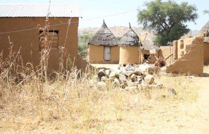 Kamerun: Wenn der Hohe Norden nicht von „den schönsten Landschaften der Welt“ profitiert