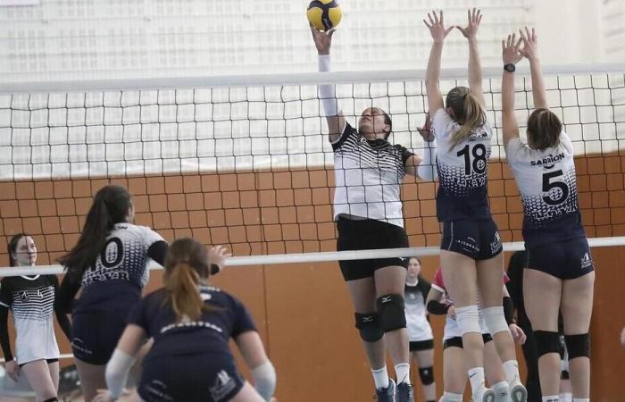 Volleyball. N2F: Nach dem überwältigenden Sieg gegen Vézily kommt Angers seinem Klassenerhalt näher