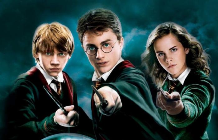 Harry Potter, die Fehler der Filme, die die TV-Serie unbedingt beheben muss