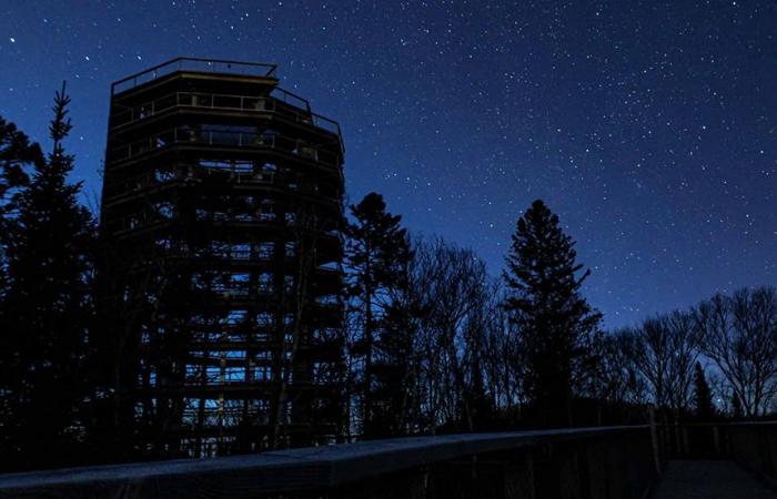 Aktivitäten | Sentier des Cimes: Nachtspaziergang mit Poutine und Tartiflette in der Luft