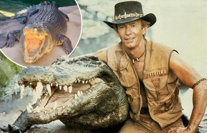 Burt, das Reptil aus „Crocodile Dundee“, ist im Alter von 90 Jahren gestorben