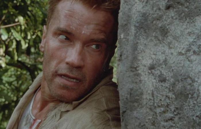 „Es ist der Film, den ich am meisten bereue, ihn nicht gemacht zu haben.“ Arnold Schwarzenegger weigerte sich, in einem der besten Actionfilme der 90er Jahre, Michael Bays The Rock, mitzuspielen