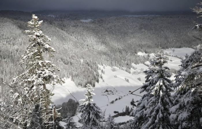 Große Schneeflocken und eiskalte Winde… Drei Alpendepartements in Lawinenwarnung