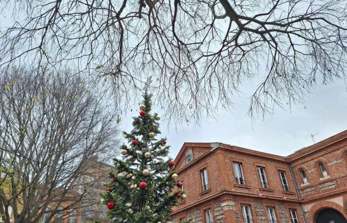 Wetterbericht. Wie wird das Wetter am Heiligabend in Toulouse und Okzitanien sein?